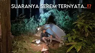 Solo Camping Cooking Fried Sardines in the Dense Forest