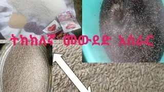 መውደድ አሰራር