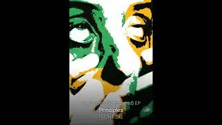 FRONT 242 "Principles" Remastered (2024)