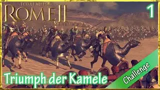 Let's Play Total War Rome 2 - Kamele & Söldner only Challenge (D | HD | Sehr schwer) #1