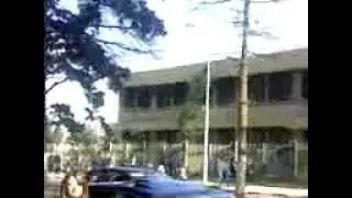 9hab alger