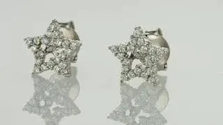 A201 עגילי כסף לנשים –ROZAN