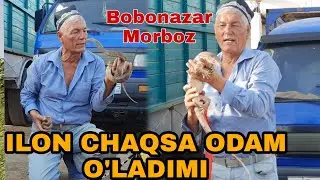 YANA BOBONAZAR MORBOZ ZANG MOLBOZORIDA 22.07.2023