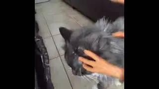 You Feel So Nice