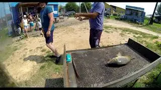 День рыбака на Пионерском. Ловлю линя.