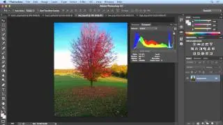 064.Reading a Histogram and Using the Info Panel