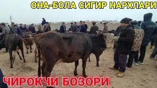 3 ФЕВРАЛ ЧИРОКЧИ МОЛ БОЗОРИ НАРХЛАРИ 2022. СИГИР НАРХЛАРИ 2022