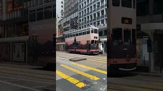Ding-Ding Trams #hongkong #tram #china #shorts #travel