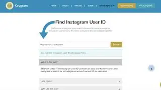 How to Find an Instagram User ID