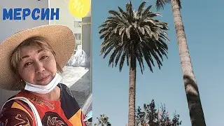 Очень грустно 🥲 Сидим дома. Турция Мерсин.