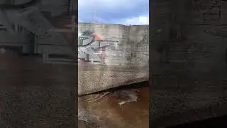 р.Кама мыс микрорайона Заозерье город Пермь