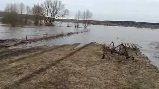 сорян за голос парни