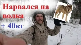 Сбор чаги.Лес.Живность!!
