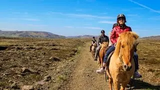 Viking Horse Riding Experience in Iceland