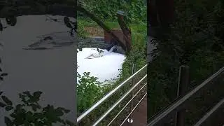 ВО КАКАЯ ЭКОЛОГИЯ