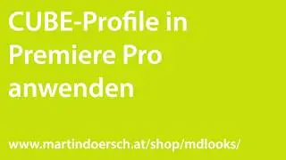 CUBE Profile in Premiere Pro verwenden
