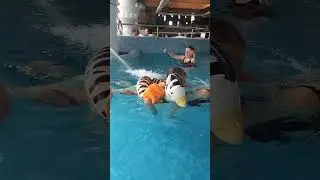 Милана с Алисой в Мира Терма ! Милана купается в бассейне!