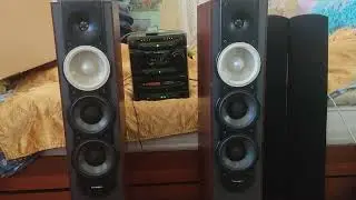 Paradigm 7 v.5 Savage Only You
