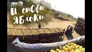 Дальнобой.48 / И снова яблоки