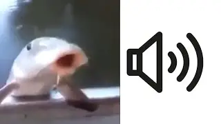 Bagi-bagi SFX Meme Absurd (21st Century Humor/Ironic Meme)