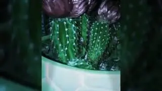 Мой рабочий стол