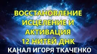 12 нитей ДНК: восстановление, исцеление, активация. Чудо. (28.10.18)