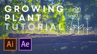 Growing Plant Animation & Illustration - After Effects Tutorial