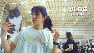RETOMANDO EVENTOS (CHACO vlog)