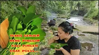 Awas Ngiler || Tumis Genjer Di Pinggir Kali Pingen.!!