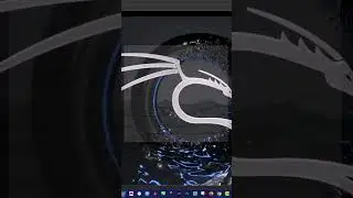 Fix bridge connection issues in VMware
