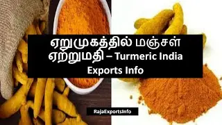 Turmeric Exports Information ||  மஞ்சள் ஏற்றுமதி ||  Export Import business ||  RajaExportsInfo