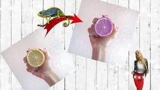 Меняем цвет в PicsArt