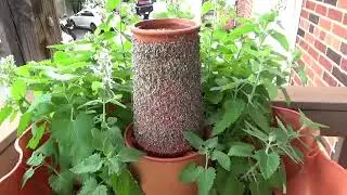 How to Use Seeds on a VertPlanter