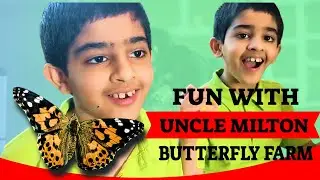 Twins Experience with Uncle Milton Butterfly Farm