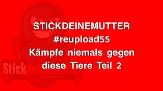 Kämpfe NIEMALS gegen diese Tiere Teil 2 #reupload55 #stickdeinemutter
