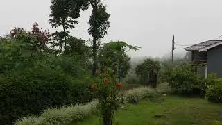 Suasana Pedesaan Bikin Candu