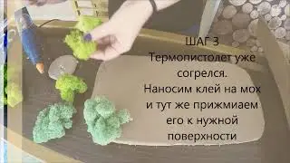 Мастер класс Декорирование стабилизированным мхом от Moss Space