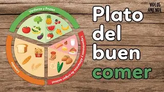 Plato del buen comer | Videos Aprende