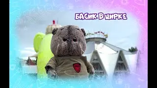 Поездка с Басиком в Кисловодский цирк  / БАСИК В ЦИРКЕ / Цирк Счастливый билет