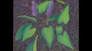 Painting Pickerell Weed