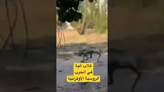 11 غشت 2024