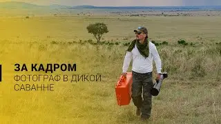 Работа фотографа в дикой саванне. Как создается материал для журнала Зоография