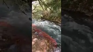 #keşfet