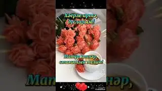 Якты уйлар
