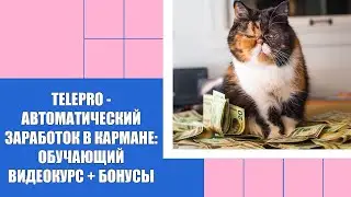 Реальный заработок Телеграм