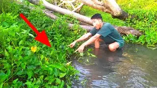 MENEMUKAN SARANG IKAN DISUNGAI