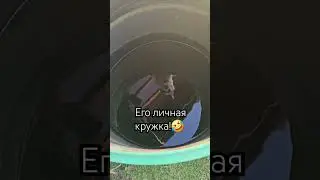 20 июля 2024 г.