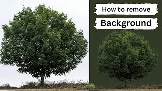 How to remove background completely in photoshop with Aqeel designo