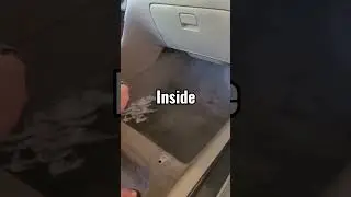 Cleaning My Car After 14 YEARS