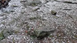 Каракольские озера, июль месяц
